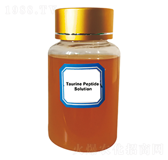 ţ�����~��-�پG����