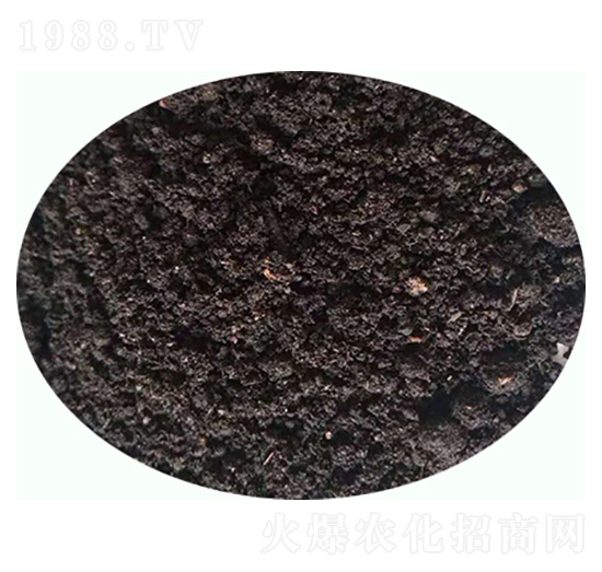 �l(f��)����S�ЙC(j��)����-���|�ʘI(y��)