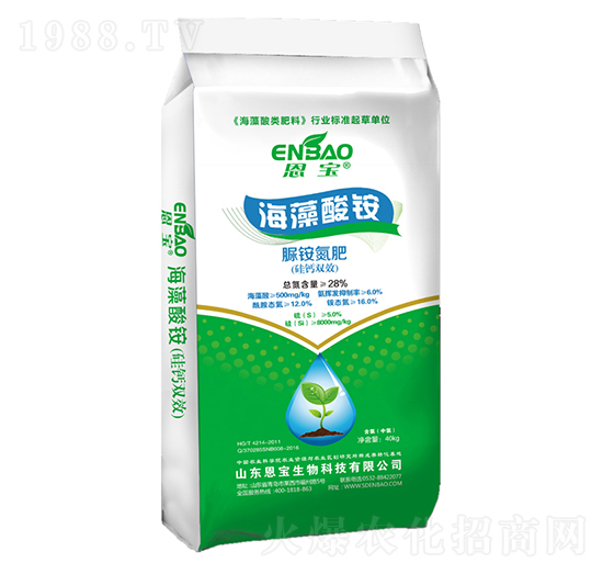 �������@2̖-����