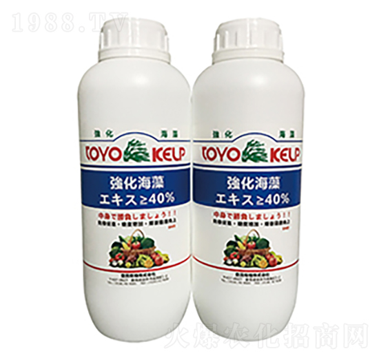 ��������-�����A��