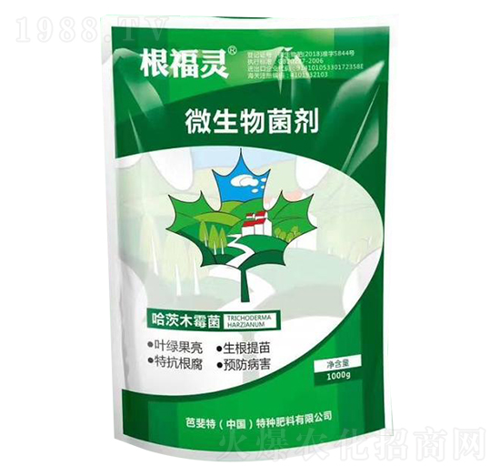 ΢�������-�����`-�����