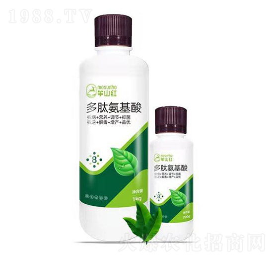 ���İ�����-���p��