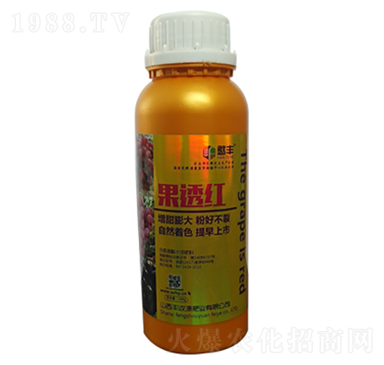 ��͸�t-�S��Դ