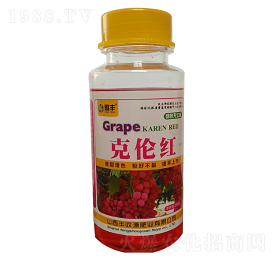 �˂��t-�S��Դ