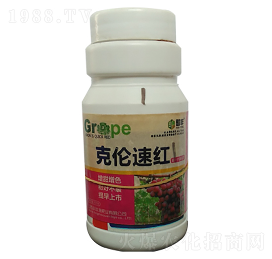 ���ѿ˂��ټt-�S��Դ