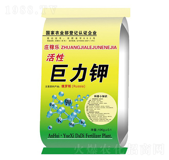 ���Ծ����-�f�ژ�-��ػ���