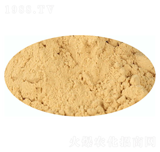 �r(n��ng)�I(y��)��������-�п��d��