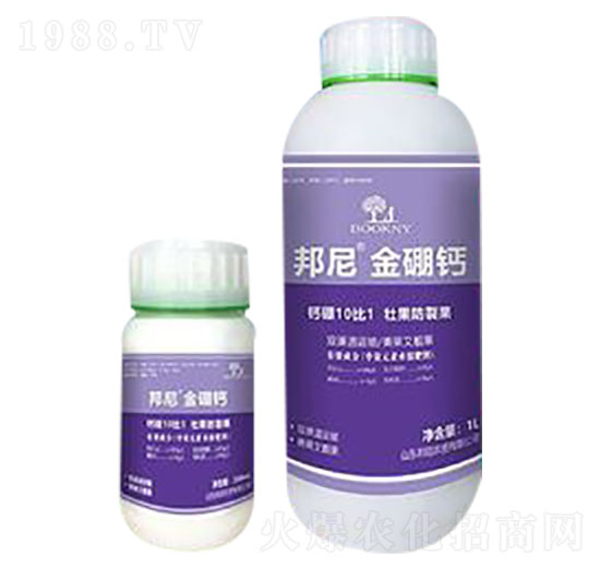 ��������}-����