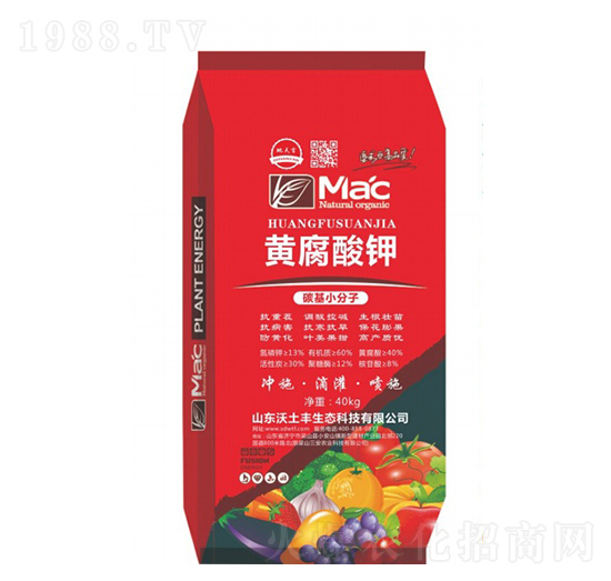 �S�����-�����S