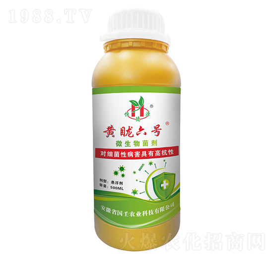 ΢�������-�S����̖-��������