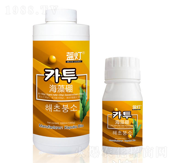 �{(l��n)��������-���Վ�(k��)����