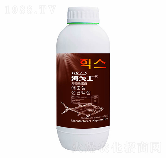 �����~����-����ʿ-���Վ�����