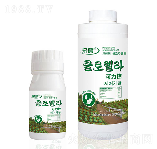 �������~���-����-���Վ�����