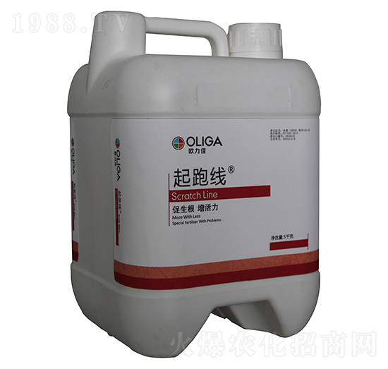 ���ܾ�-�W����