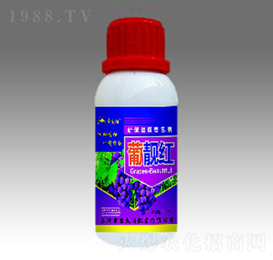 ���n�t-�������