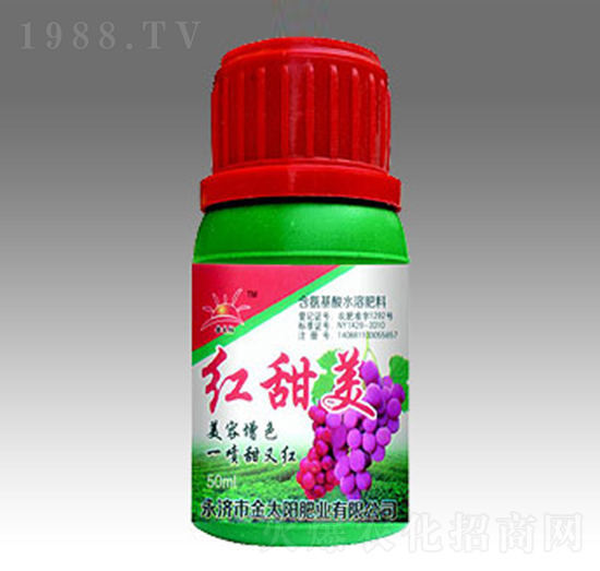 �t����-�������