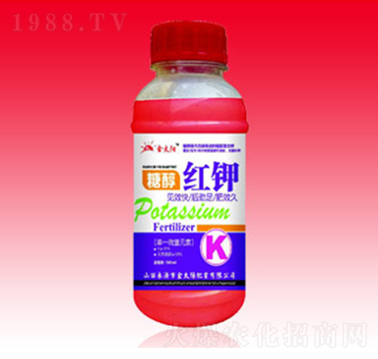 �Ǵ��t�-�������