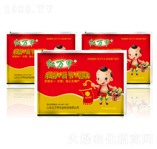 ���｡�����a(ch��n)�ײ�-�t�f(w��n)��