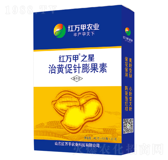 ���S��������-�t�f��֮��