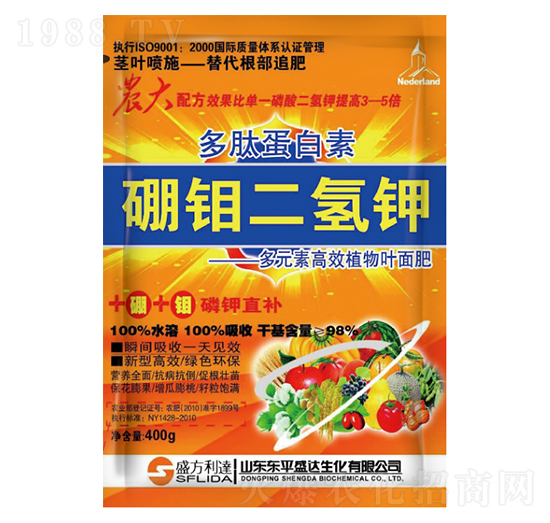 ���ĵ��������f�����-�t�f(w��n)��