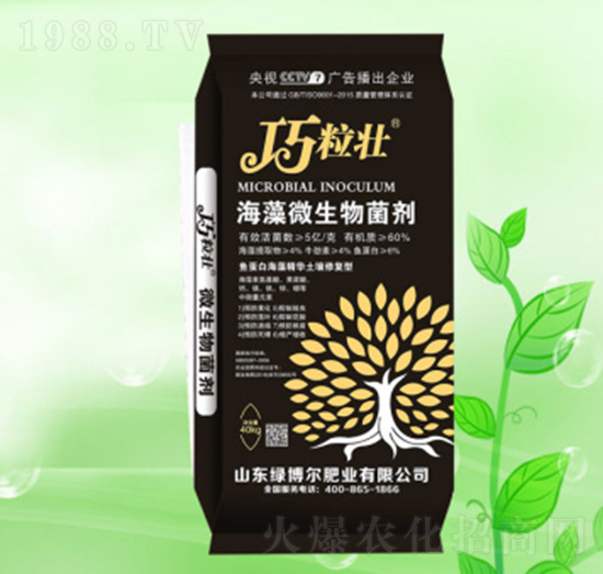 ����΢�������-������-�G�����ʘI(y��)