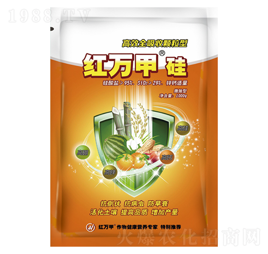 ��Чȫ�����w���͹�-�t�f��