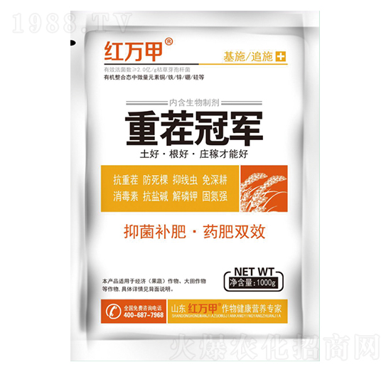 �ز�-�t�f(w��n)��