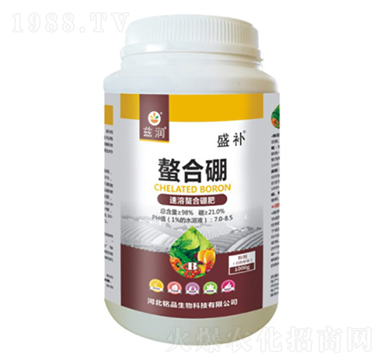 �����������-ʢ�a-�Ʒ����