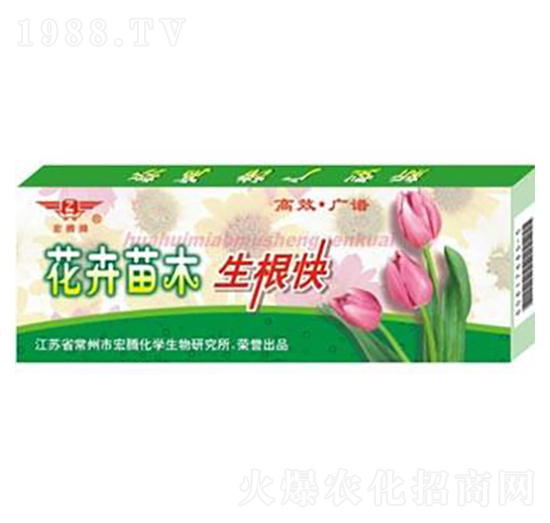 ������ľ������-���v����