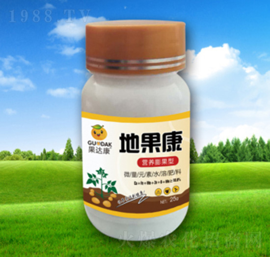 �ع���-���_(d��)���ʘI(y��)