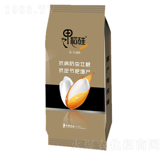 �ż׵���-�ż��r�I(y��)