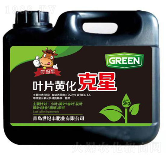 �~Ƭ�S������-���o�S