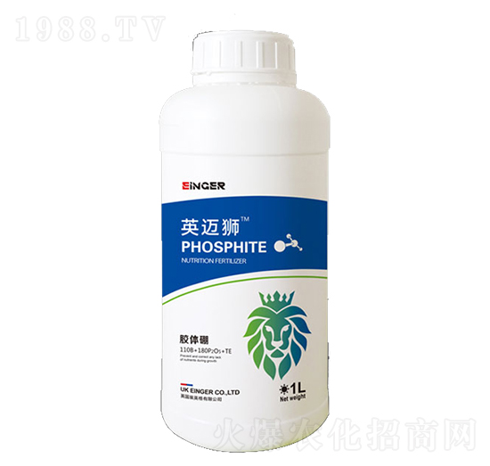 �z�w��-Ӣ�~�{-��(y��u)�ɵ�