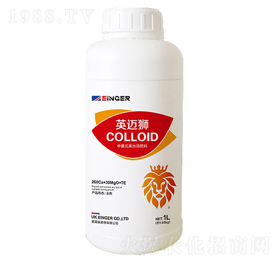 �z�w�}-Ӣ�~�{-��(y��u)�ɵ�