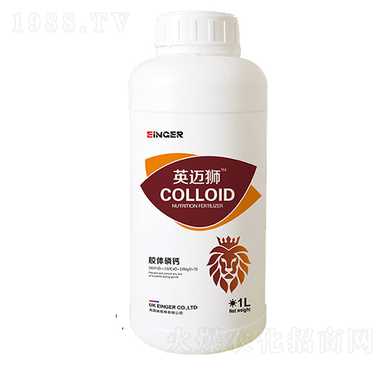 �z�w���}-Ӣ�~�{-��(y��u)�ɵ�