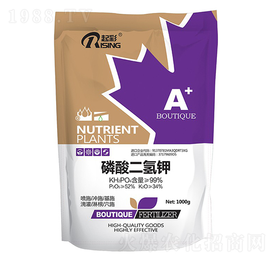 ��������-���-Ӣ��