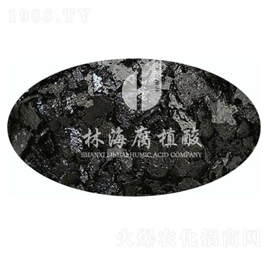 �S⛴���Ԫ��-�ֺ���ֲ��