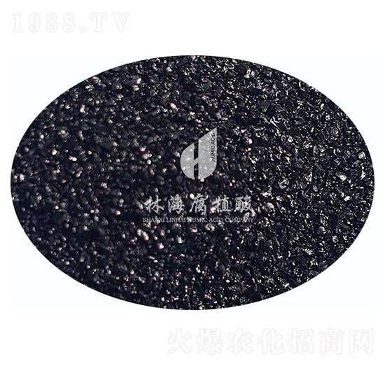 ��ֲ���-�ֺ���ֲ��