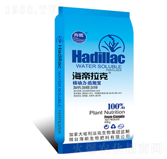 �˄���׷ʩ��-��������-����