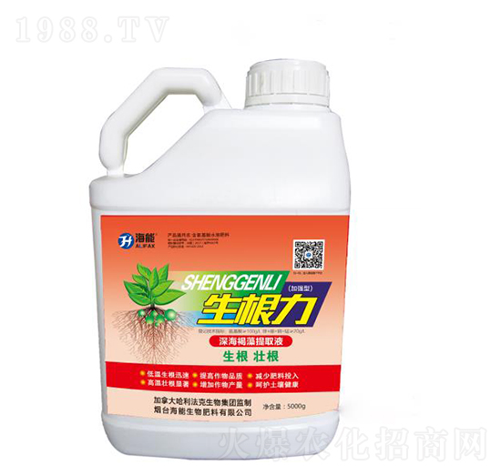 ������-����