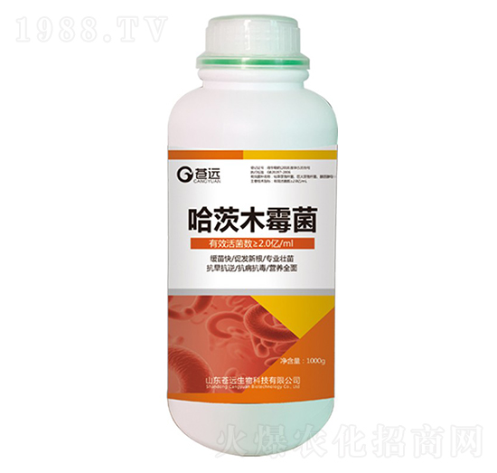 ����ľù��-�n�h(yu��n)����