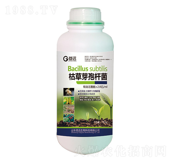 �ݲ�ѿ�ߗU��-�n�h����