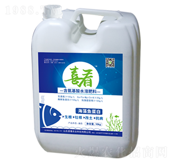 �����~(y��)����-ϲ��