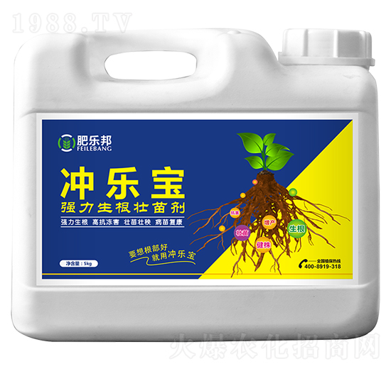 �����������焩-�_����-�׶���