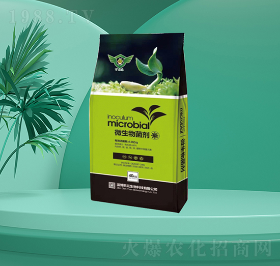 ΢�������-�㶦����