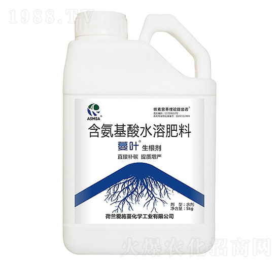 ������-���~-��ʩ��