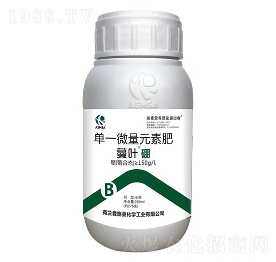 ���~���-��ʩ��