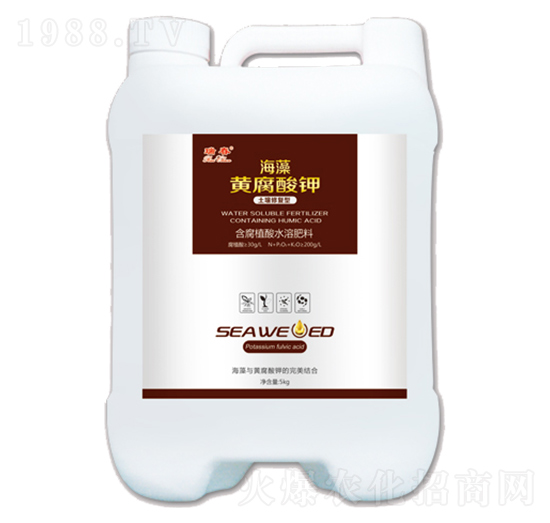 �����S�����-��-���r(n��ng)