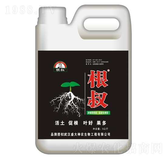 ����-ʢ������