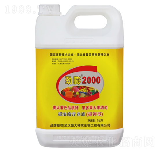 ����2000-ʢ������